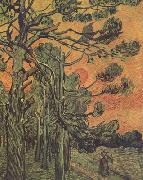 Vincent Van Gogh Pine Trees against a Red Sky with Setting Sun (nn04) china oil painting artist